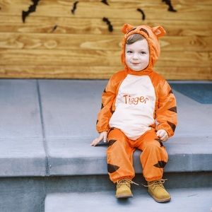 Tigger costume (Winnie the Pooh)